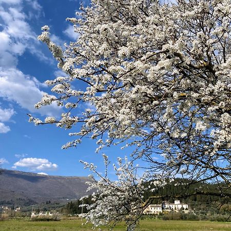 Accanto A Firenze Prato  Buitenkant foto