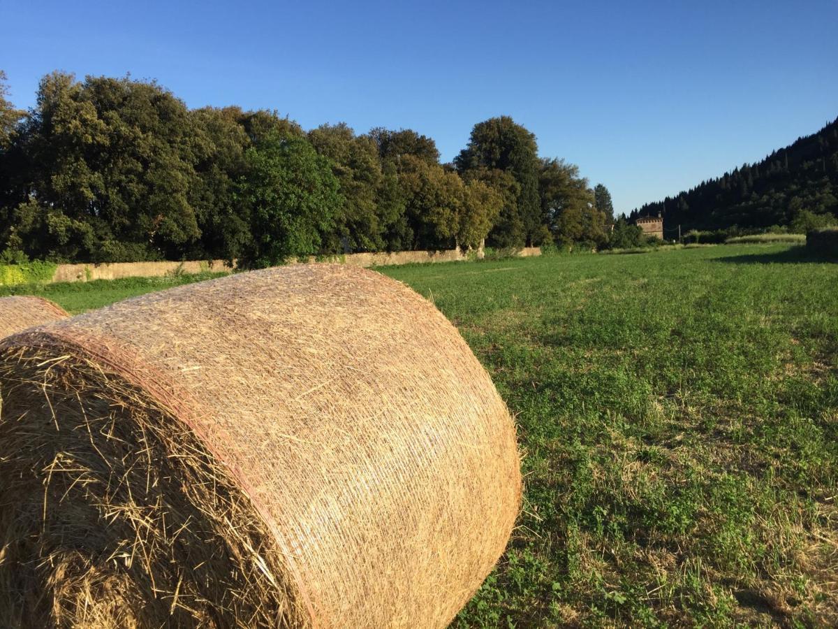 Accanto A Firenze Prato  Buitenkant foto