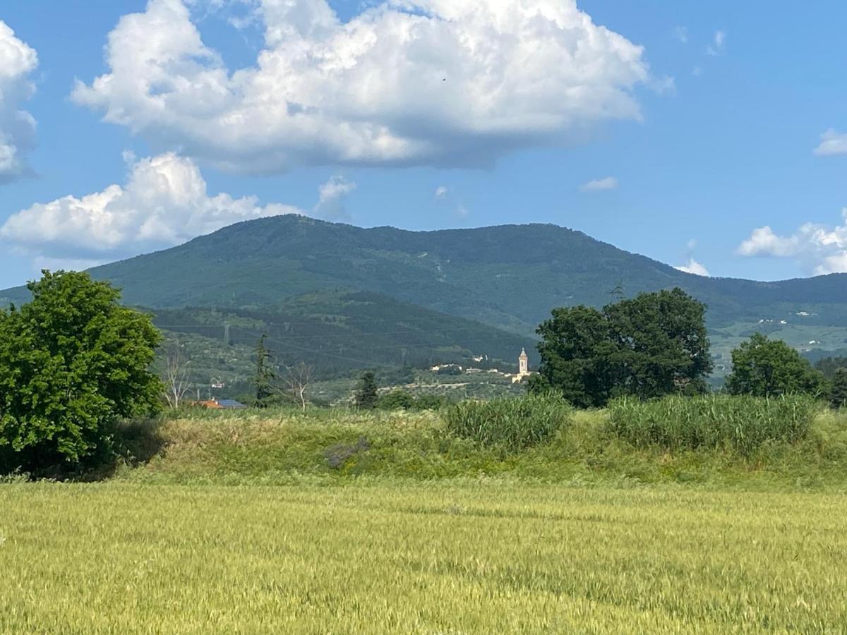 Accanto A Firenze Prato  Buitenkant foto