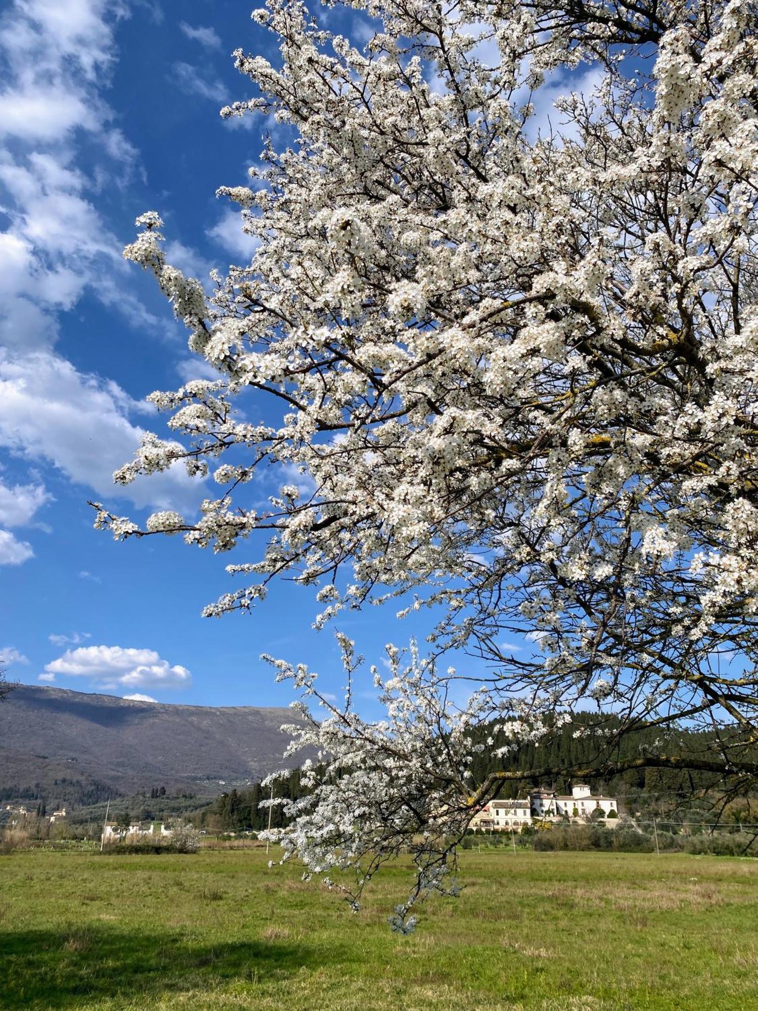 Accanto A Firenze Prato  Buitenkant foto